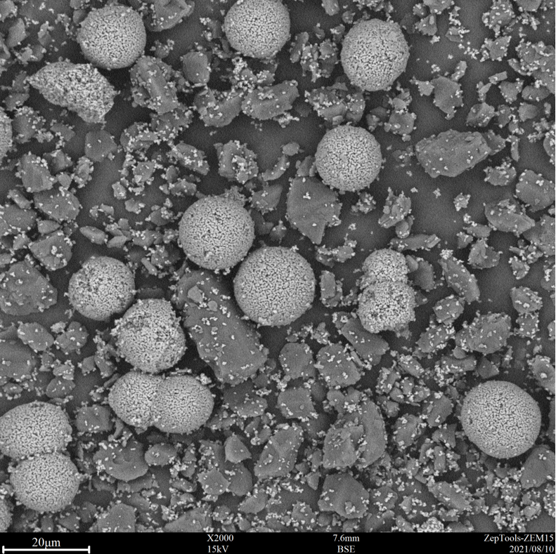 2000倍臺式掃描電鏡拍攝圖 2000倍臺式掃描電鏡拍攝圖