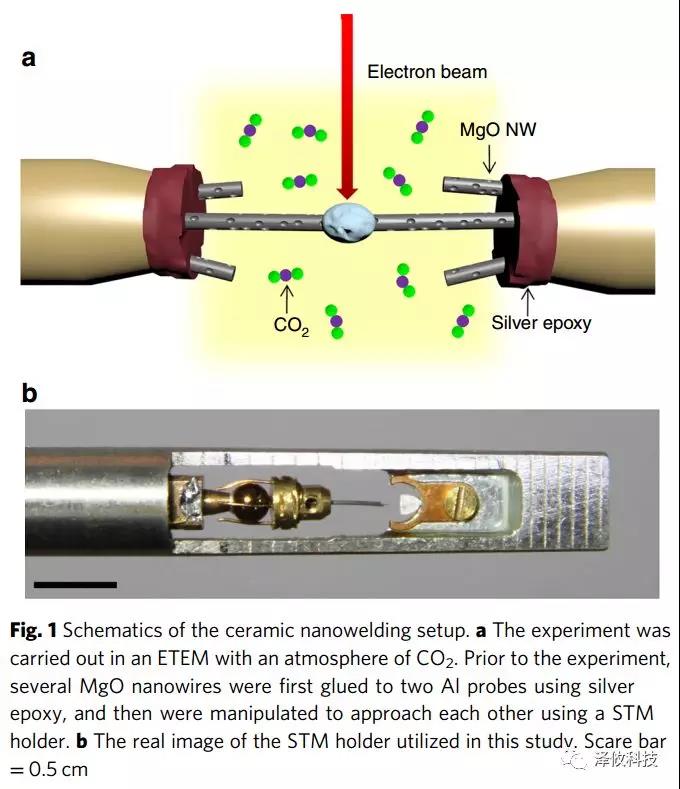 原位TEM-STM系統應用 原位TEM-STM系統應用
