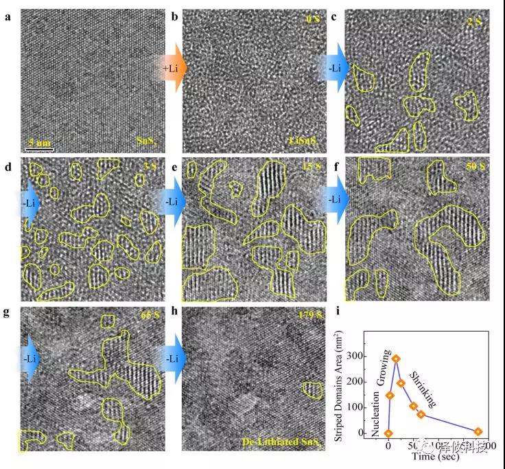 原位樣品桿應(yīng)用圖 原位樣品桿應(yīng)用圖