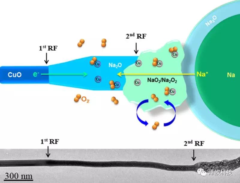 Nano Letter:澤攸科技原位系統(tǒng)應(yīng)用于固態(tài)氧鈉電池(圖2) PicoFemto系列原位樣品桿研究實驗圖1