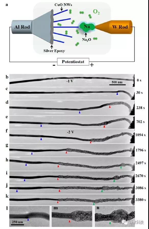 Nano Letter:澤攸科技原位系統(tǒng)應(yīng)用于固態(tài)氧鈉電池(圖3) PicoFemto系列原位樣品桿研究實驗圖2