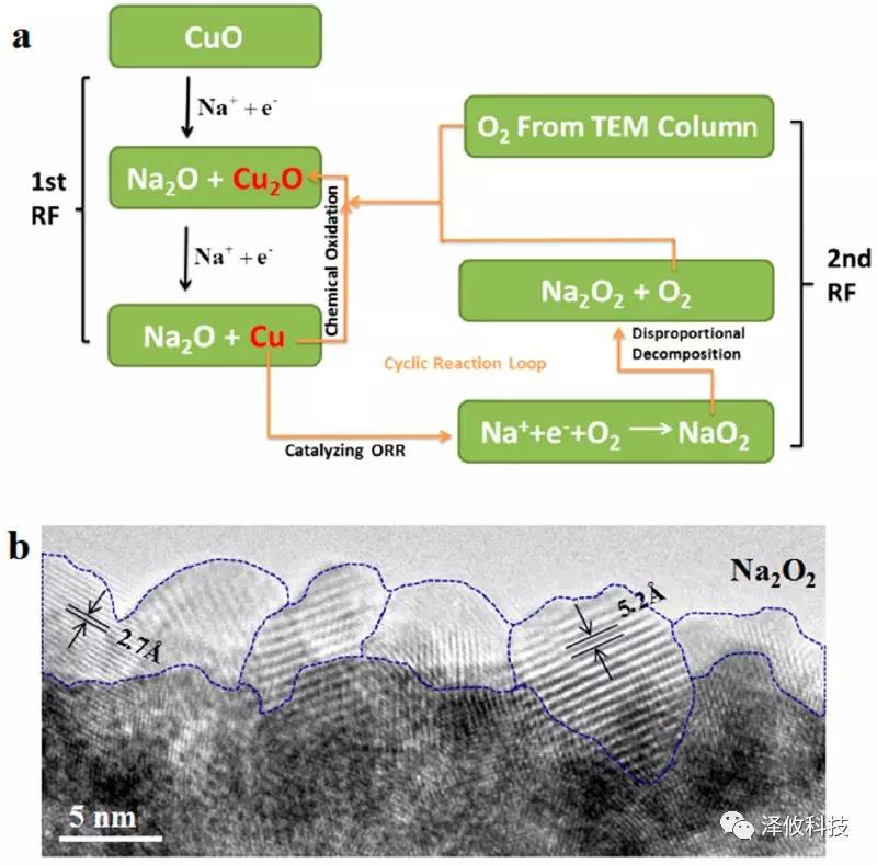 Nano Letter:澤攸科技原位系統(tǒng)應(yīng)用于固態(tài)氧鈉電池(圖7) PicoFemto系列原位樣品桿研究實驗圖7