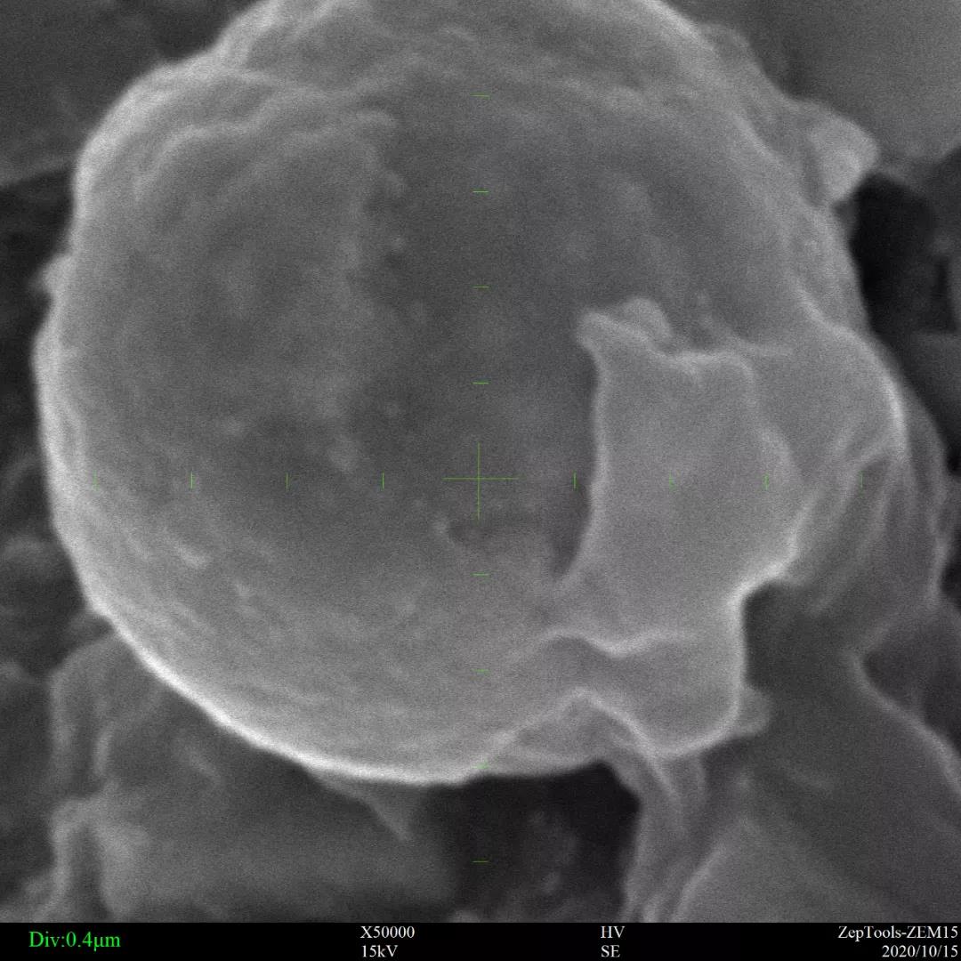 臺式掃描電鏡5萬倍的粉末樣品 臺式掃描電鏡5萬倍的粉末樣品
