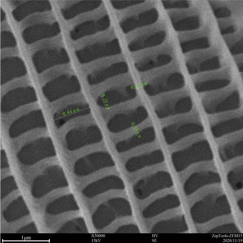 臺式掃描電鏡50000倍下的飛蛾翅膀 臺式掃描電鏡50000倍下的飛蛾翅膀