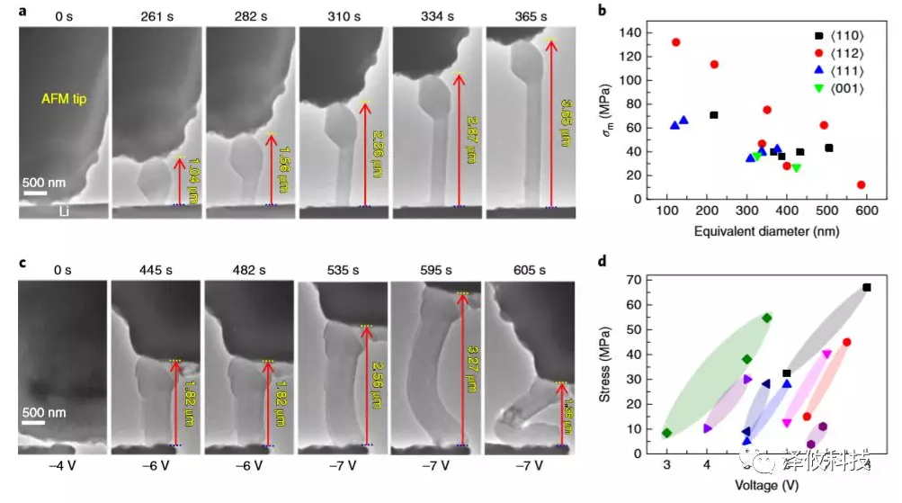 鋰晶須生長的原位AFM-ETEM成像以及在施加電壓下同時測量鋰晶須的應力變化。 鋰晶須生長的原位AFM-ETEM成像以及在施加電壓下同時測量鋰晶須的應力變化。