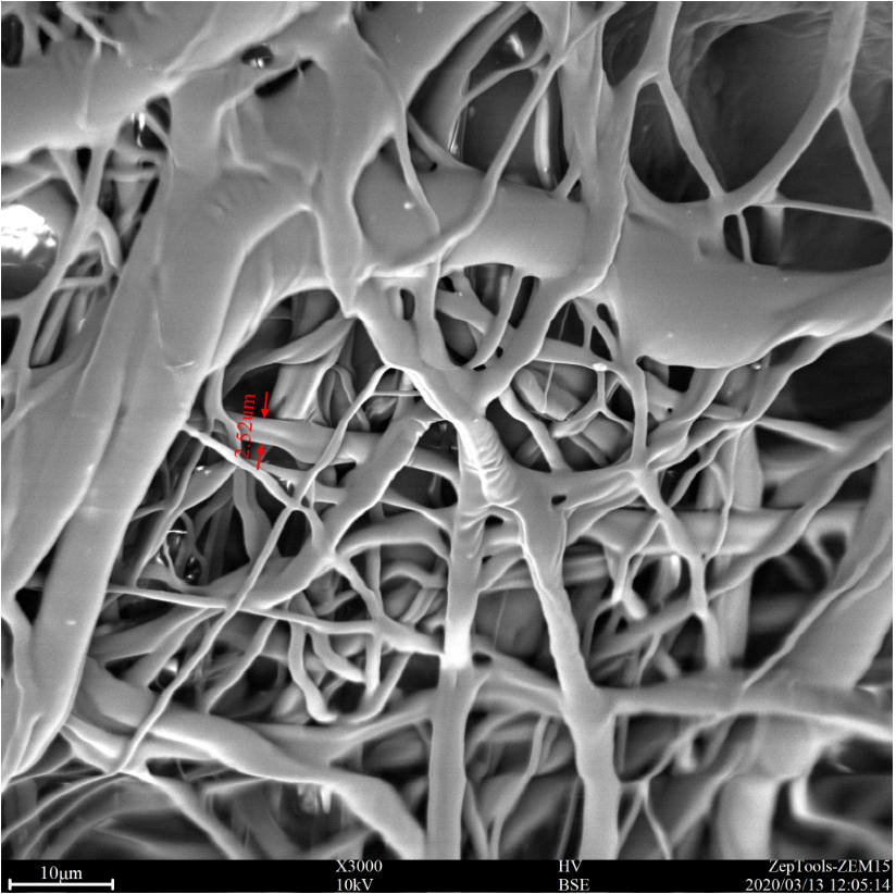 掃描電鏡下的醫用外科口罩圖片 掃描電鏡下的醫用外科口罩圖片