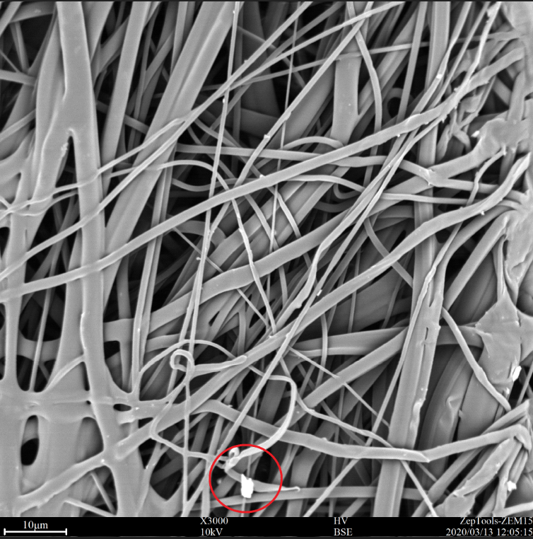 掃描電鏡下的醫用外科口罩熔噴布層圖片 掃描電鏡下的醫用外科口罩熔噴布層圖片