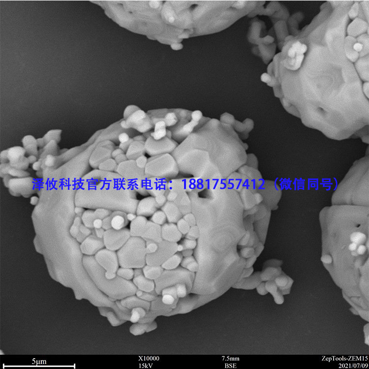 你知道影響掃描電鏡分辨率的因素有哪些嗎?(圖1) 掃描電鏡拍攝圖13.jpg