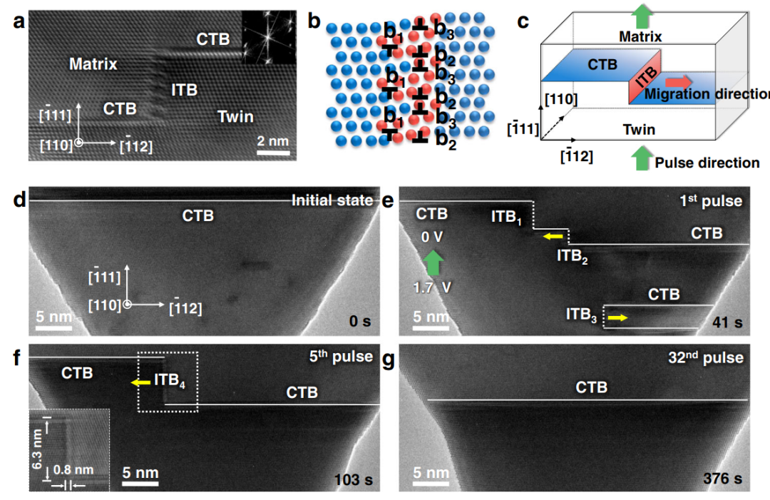 Au納米晶中脈沖導致的非共格孿晶界遷移 Au納米晶中脈沖導致的非共格孿晶界遷移