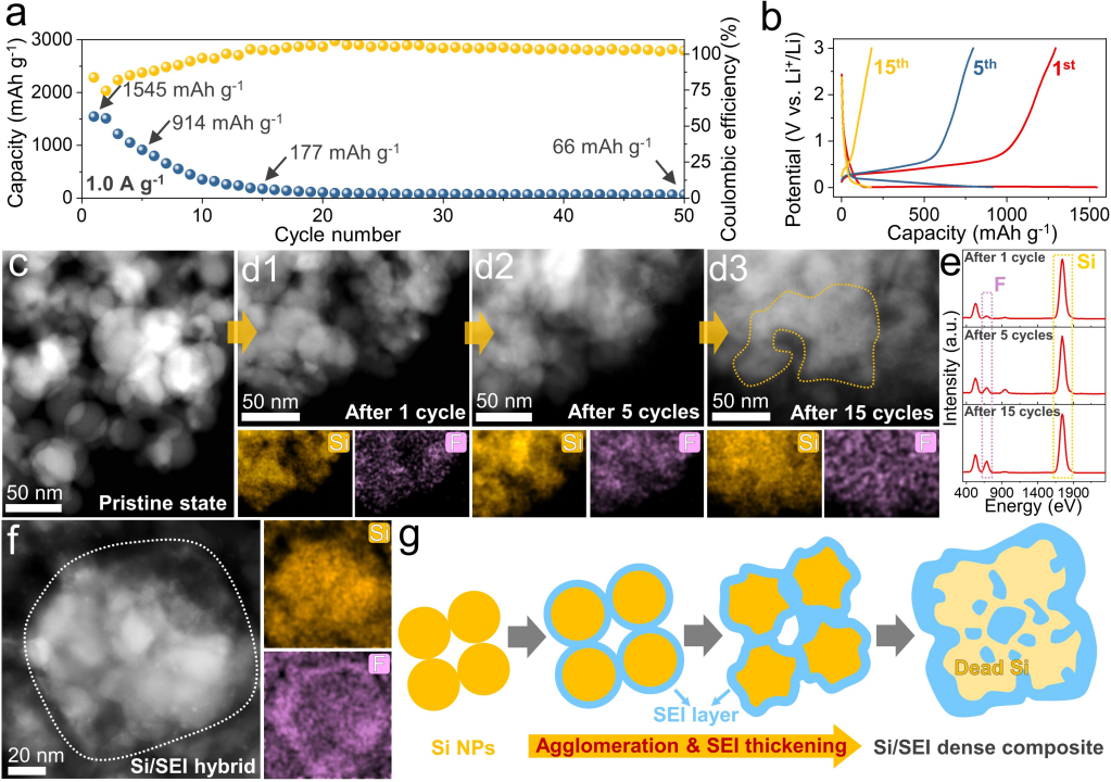 Si NPs的超快容量衰減和結(jié)構(gòu)劣化機(jī)制解析 Si NPs的超快容量衰減和結(jié)構(gòu)劣化機(jī)制解析