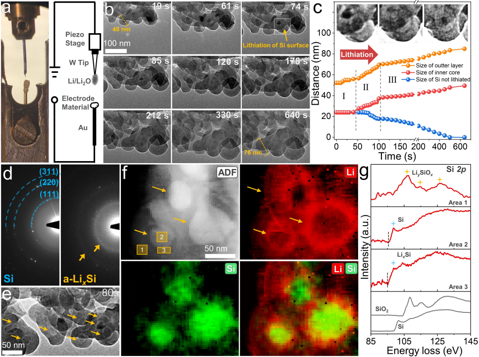 原位電子顯微學(xué)揭示鋰化過程中結(jié)構(gòu)與化學(xué)環(huán)境動態(tài)演化過程 原位電子顯微學(xué)揭示鋰化過程中結(jié)構(gòu)與化學(xué)環(huán)境動態(tài)演化過程