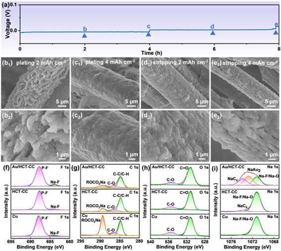 Au/HCT-CC電極沉積剝離的非原位SEM表征和循環后SEI層的XPS測試 Au/HCT-CC電極沉積剝離的非原位SEM表征和循環后SEI層的XPS測試