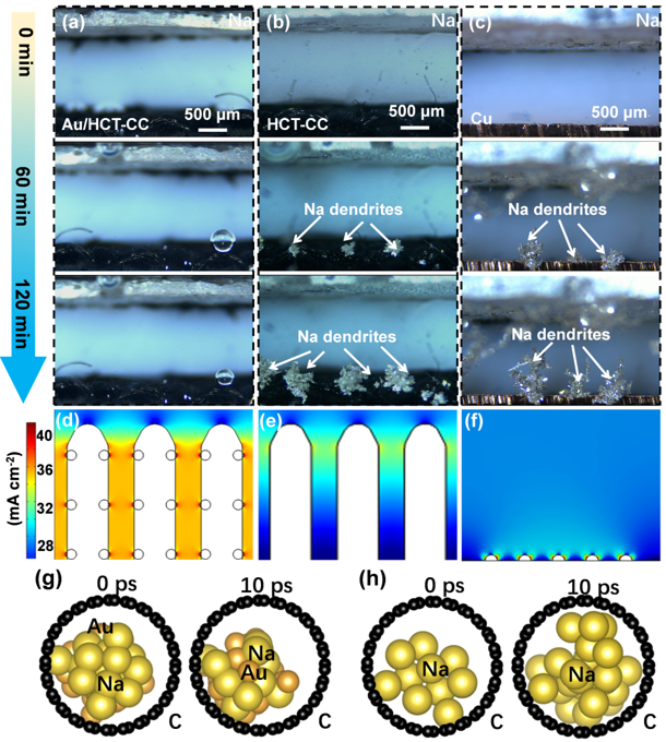 原位光學和模擬計算 原位光學和模擬計算