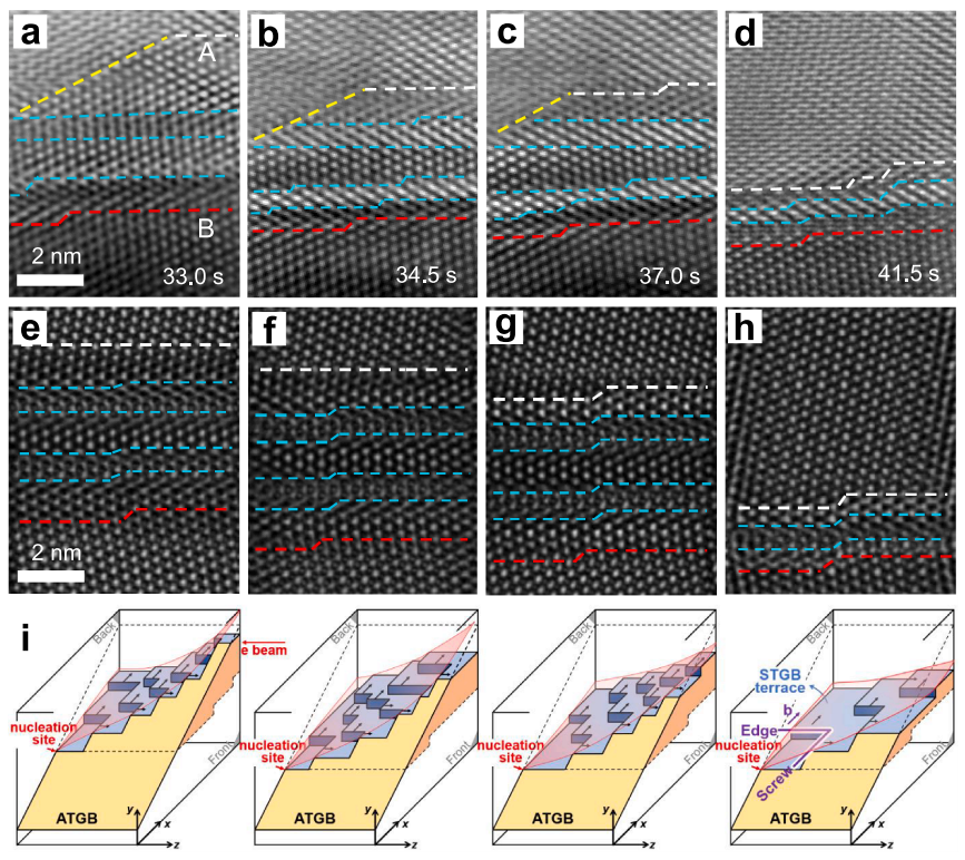 基于分離的三維晶界彎曲的動力學過程 基于分離的三維晶界彎曲的動力學過程