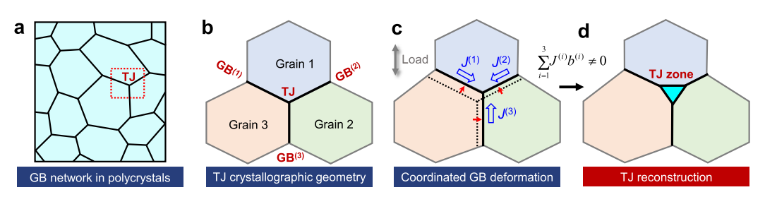 多晶網絡中三叉晶界的結構轉變示意圖 多晶網絡中三叉晶界的結構轉變示意圖