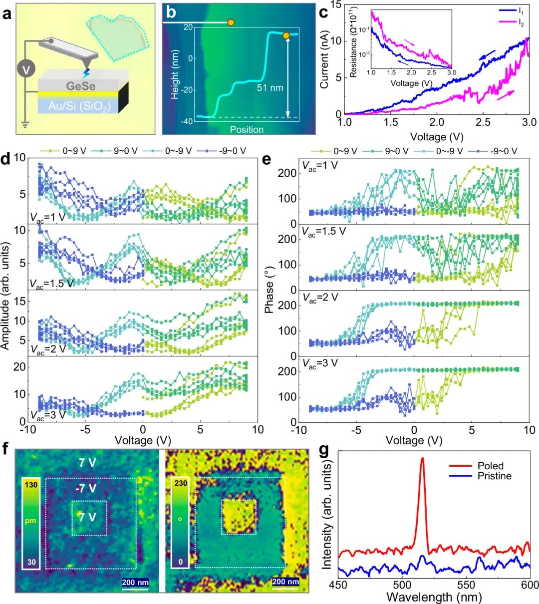 GeSe中的本征面外鐵電性和反鐵電-鐵電轉換 GeSe中的本征面外鐵電性和反鐵電-鐵電轉換