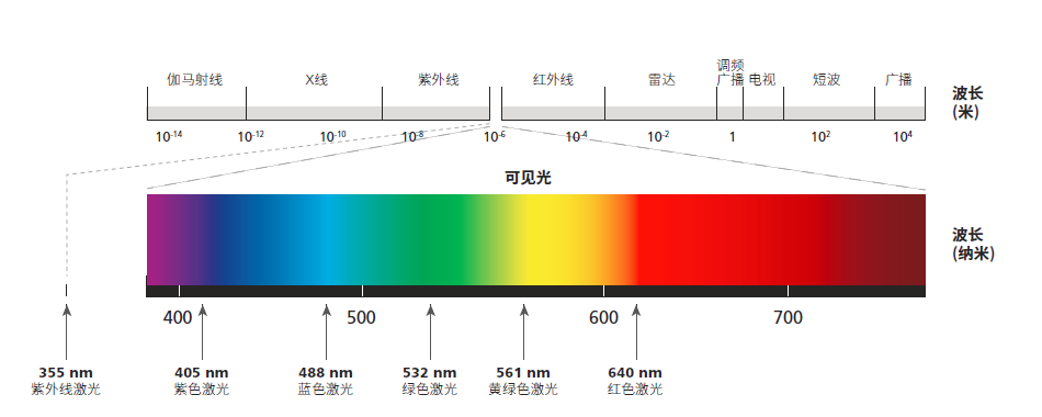 電子顯微鏡技術 電子顯微鏡技術