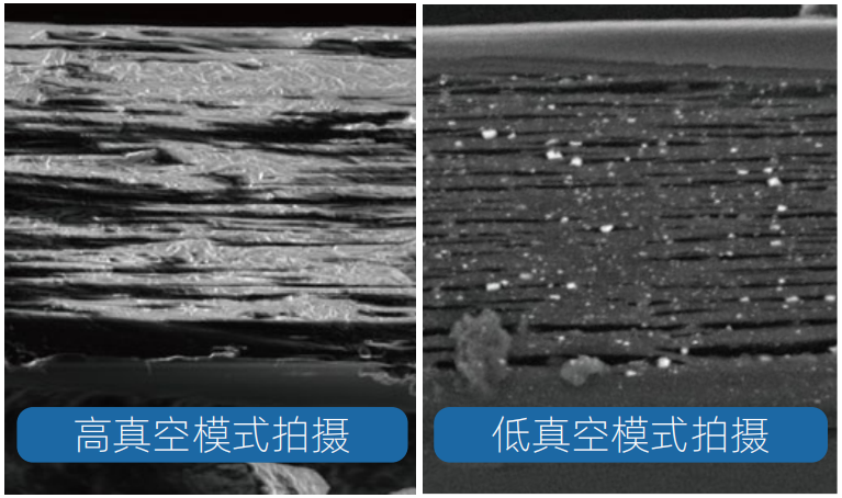 電子顯微鏡技術 電子顯微鏡技術