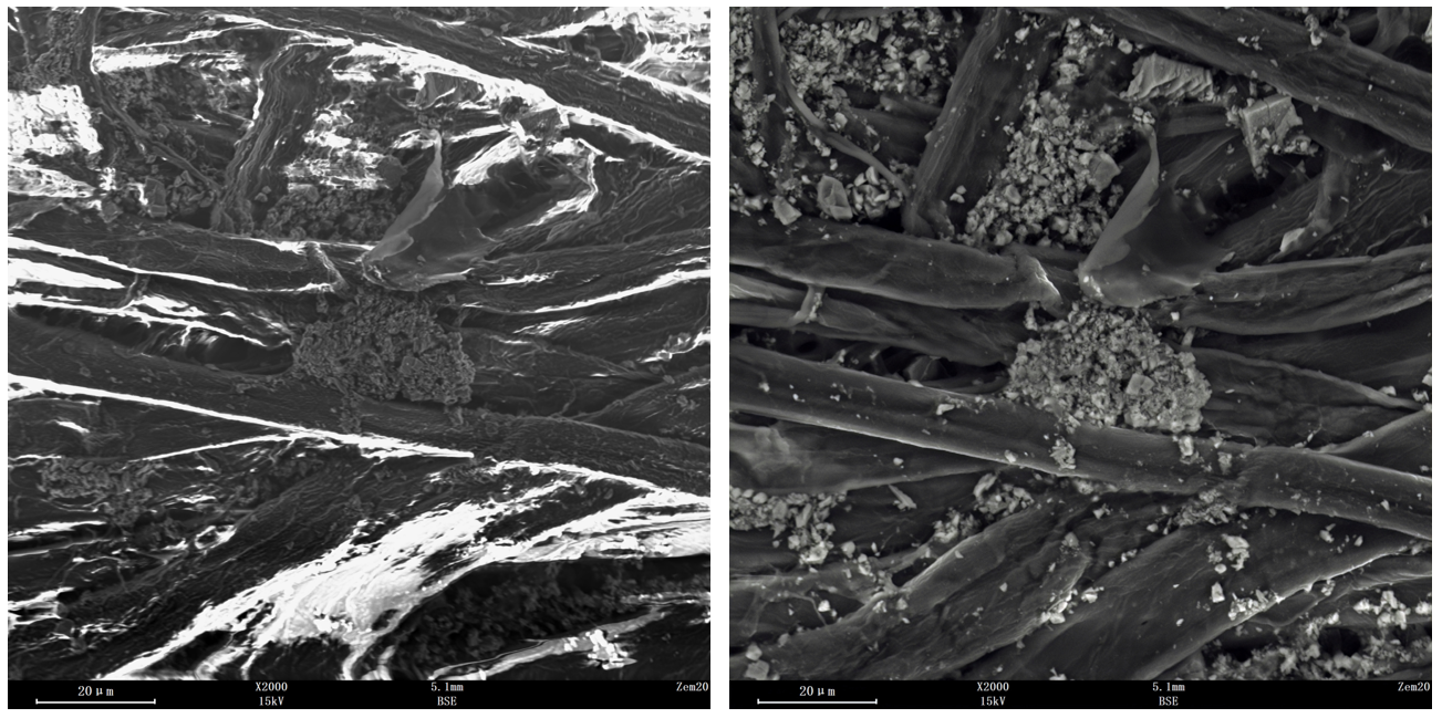 澤攸科技掃描電鏡 澤攸科技掃描電鏡