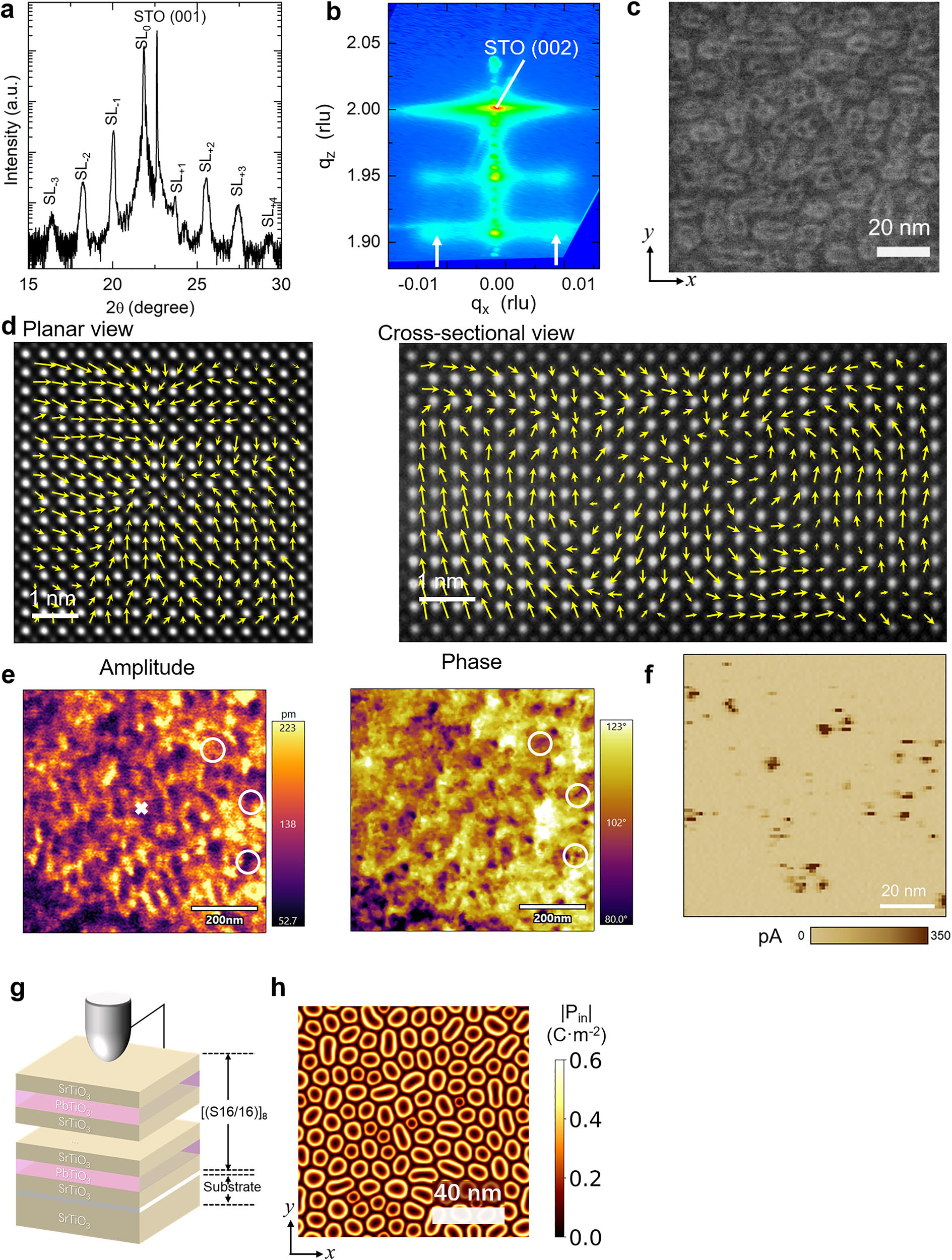 原位電子顯微鏡
