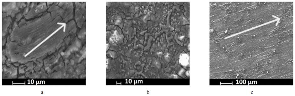 澤攸科技ZEM系列掃描電鏡