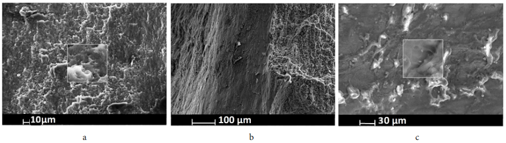 澤攸科技ZEM系列掃描電鏡