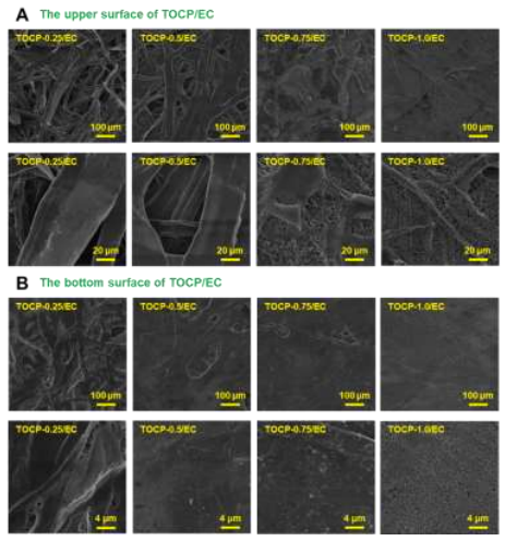 澤攸科技ZEM系列掃描電鏡 澤攸科技ZEM系列掃描電鏡