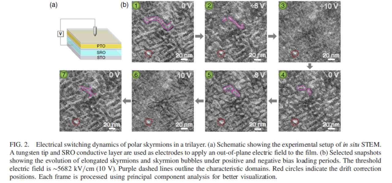 Physical Review Letters:北京大學(xué)利用原位TEM揭示電場(chǎng)下極性斯格明子動(dòng)力學(xué)(圖1) TEM實(shí)驗(yàn)1.png